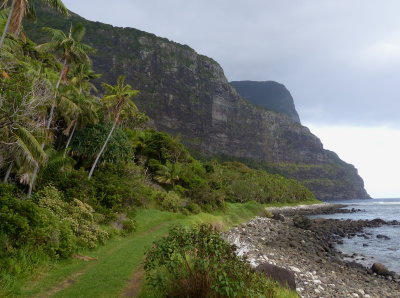 Mt Lidgbird and Mt Gower from Little Island track