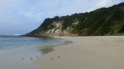 Neds Beach, Lord Howe Island, NSW