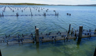 Coffin Bay Oyster Farm