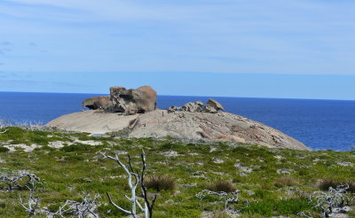 Remarkable Rocks