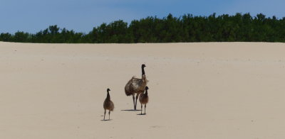 Coffin Bay National Park, SA 