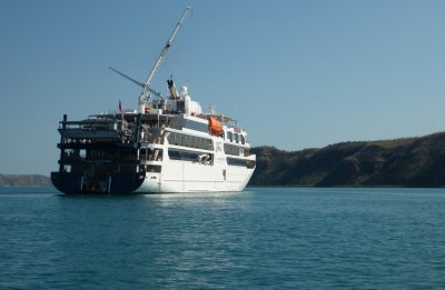 Coral Geographer, Coral Expeditions