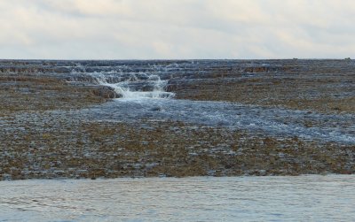 Montgomery Reef, Kimberleys, WA