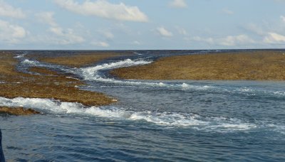 Montgomery Reef, Kimberleys, WA