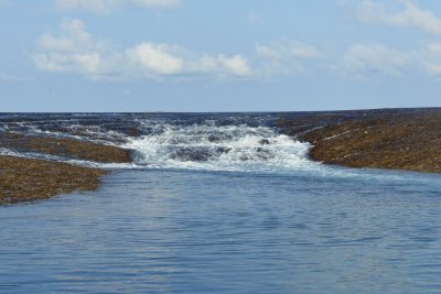 Montgomery Reef, Kimberleys, WA