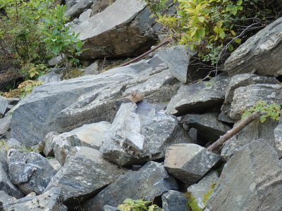 Highland Mary Lakes Trail