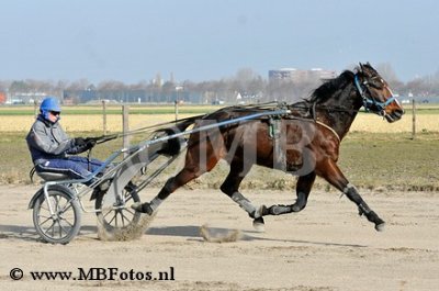 _MBF1253.jpg