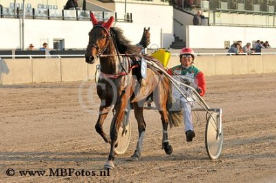 Koers 2. Iyan Stardust2.jpg