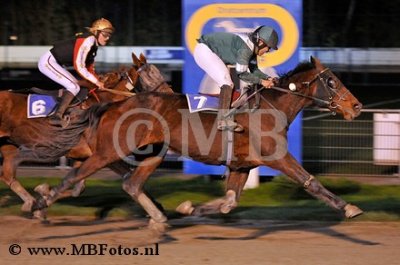 Koers 7. Bizzy Tolli T.jpg