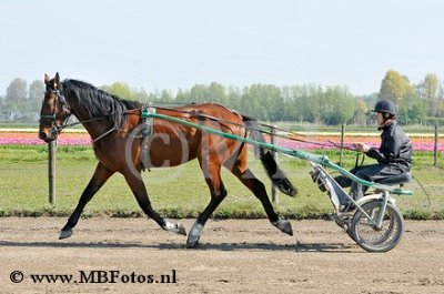 _MBF8879.jpg