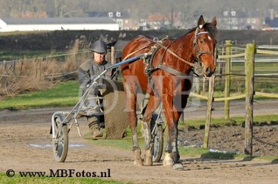_MBF7818.jpg