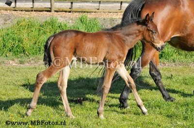 15-5-20 Cornelia en Naicky