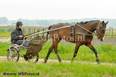 _MBF0479.jpg