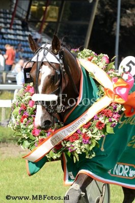 Koers 8. Echo Oldeson6.jpg