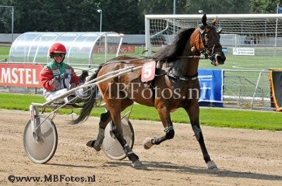 Koers 3. Iyan Stardust3.jpg