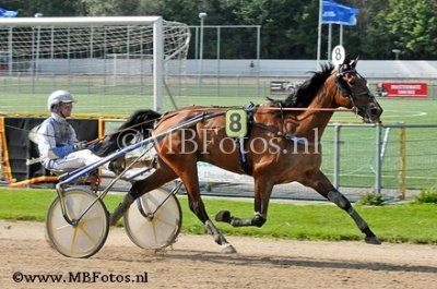Koers 4. Jello W1.jpg
