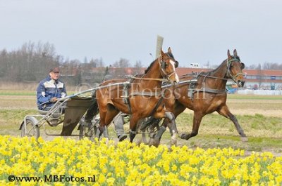 _MBF5904.jpg