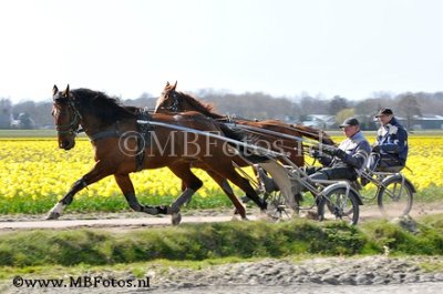 _MBF6074.jpg