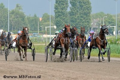 _MBF2011.jpg