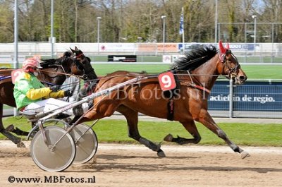 Koers 3. Maverick1.jpg