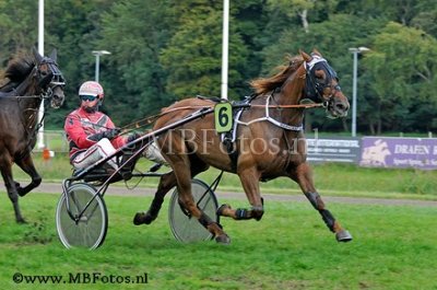 Koers 9. Warhorse Hazelaar.jpg