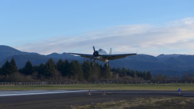 g12/88/639288/3/171020334.9y9s0QDG.jpg