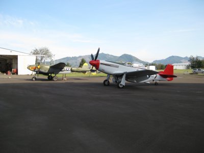 g12/88/639288/3/171021384.O1wyJ9dN.jpg