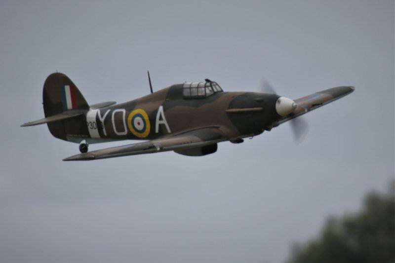 Jayden Molloys Hurricane, 0T8A5090 (2).JPG