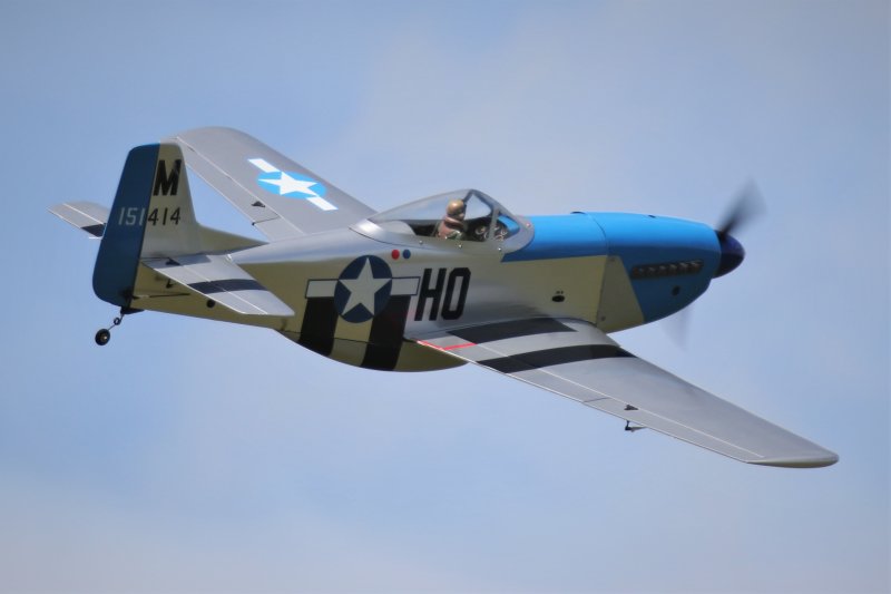 Mike and Johns Mustangs, 0T8A9768 (2).JPG