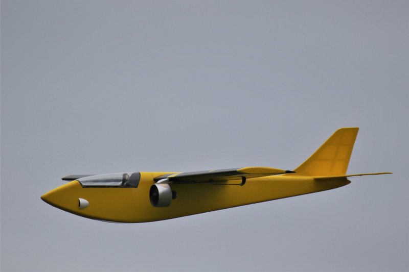 EDF Twin maiden, 0T8A0675.JPG