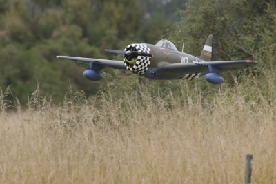 Adam Butler's P-47 in trouble on a deadstick, 0T8A5032 (2).JPG