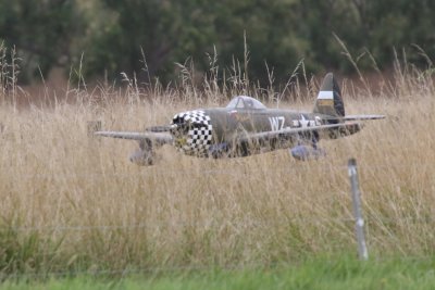 Adam Butler's P-47 in trouble on a deadstick, 0T8A5033 (2).JPG