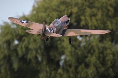 Damien van Heusen's 55cc DLE powered P-40, 0T8A5513.JPG