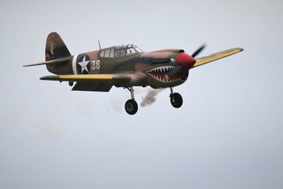 Damien van Heusen's P-40, 0T8A4768 (2).JPG