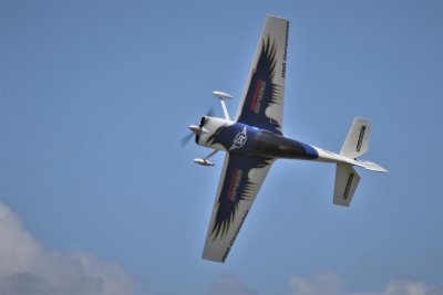 Frazer Briggs's DA200 Raven, 0T8A6791.JPG