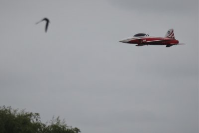 Frazer Briggs's jet powered Spark, 0T8A5456 (2).JPG