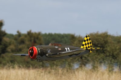 Frazer's H9 P-47, 0T8A6357 (2).JPG