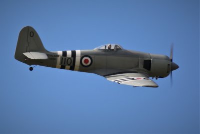 John Robinson's Hawker  Sea Fury, 0T8A5537 (2).JPG