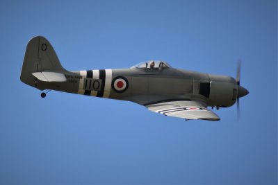 John Robinson's Hawker Sea Fury, 0T8A5537 (2).JPG