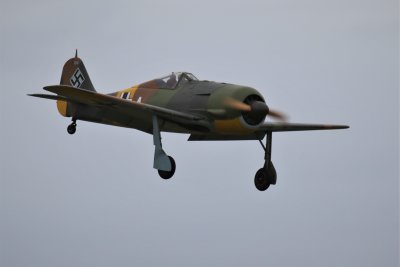 John Sutherland's FW 190 coming in, 0T8A4839 (2).JPG