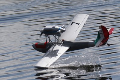 Alan R's Macchi M33, 0T8A8952 (2).JPG