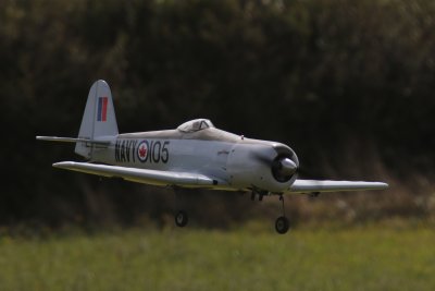 Gordon's SeaFury, 0T8A9356.JPG