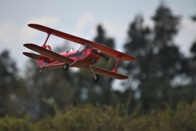 Gordon's Skybolt, 0T8A9662 (2).JPG