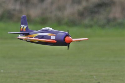 Matt's 6S Rare Bear, 0T8A9274 (2).JPG