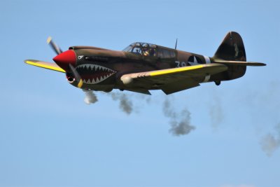 Damo's Warhawk, 0T8A1149.JPG