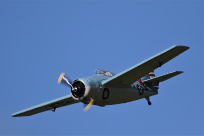 Tony W's HH Parkzone Wildcat, 0T8A1325.JPG