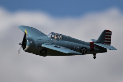 Tony W's HH Parkzone Wildcat, 0T8A1408.JPG