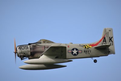 Allen L's Skyraider, 0T8A5439 (2).JPG