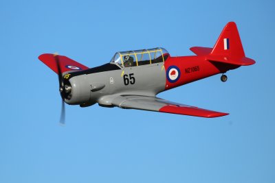 Tony W's Harvard with RNZAF livery, IMG_3768 (2).JPG