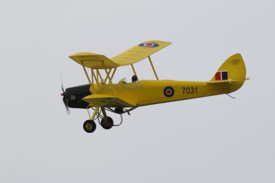 Ross's GWS Tiger Moth, 0T8A7124 (2).JPG